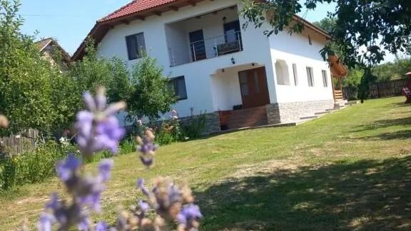 Casa Lavinia Crasna (1)