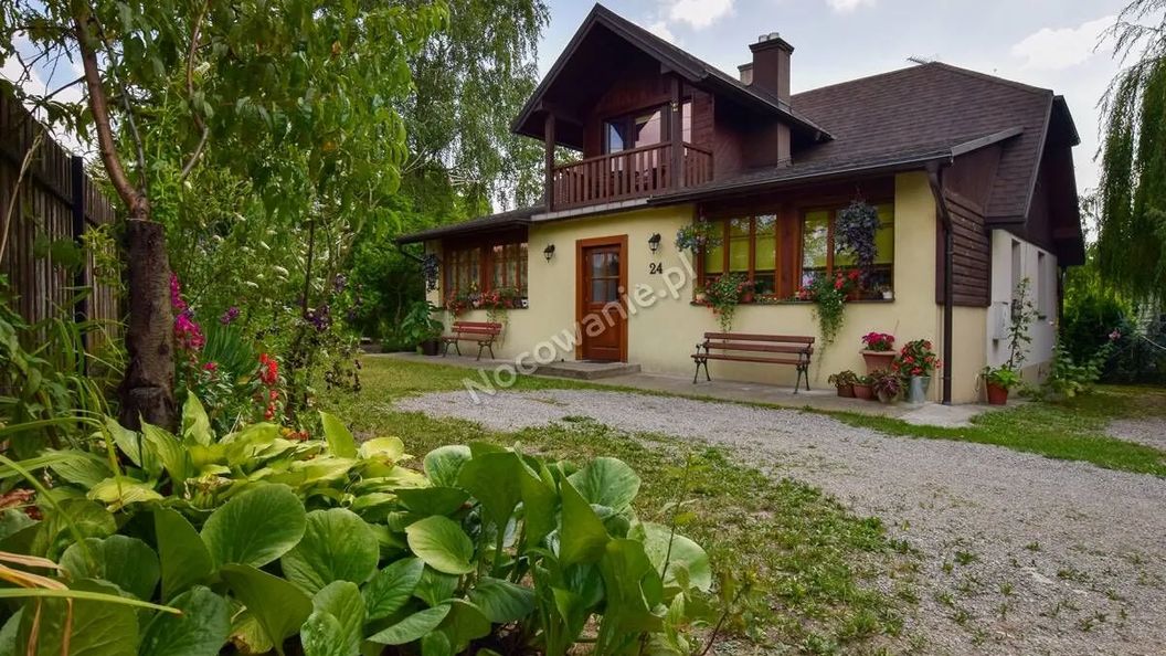 W Cieniu Świerka Kazimierz Dolny (1)