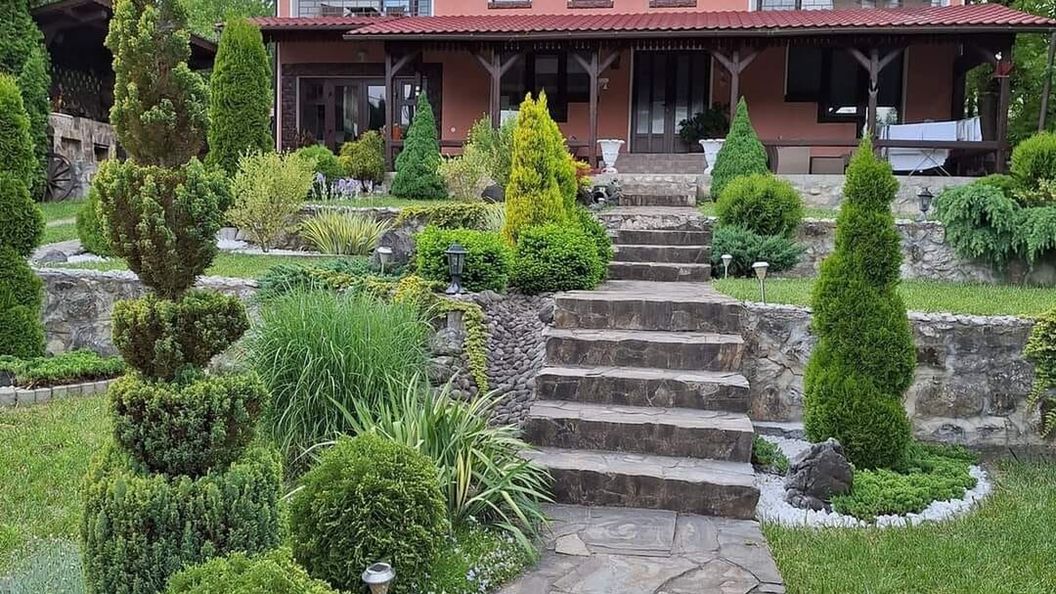 Pensiunea Flori Vaţa de Jos (1)