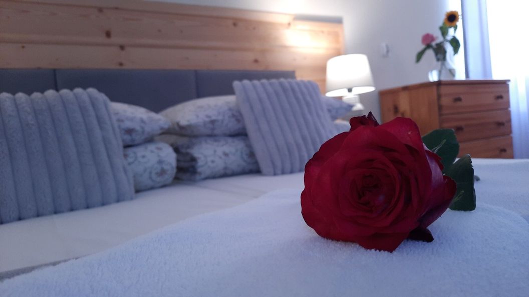 Ambrozja Białka Tatrzańska (1)