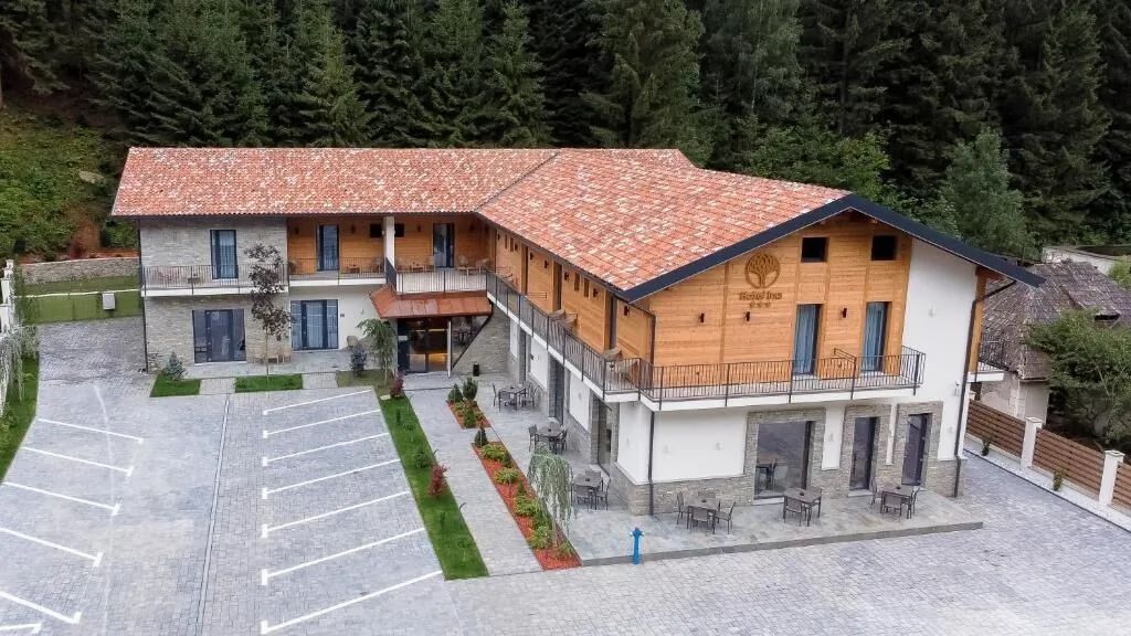 Hotel Ina Borșa (1)