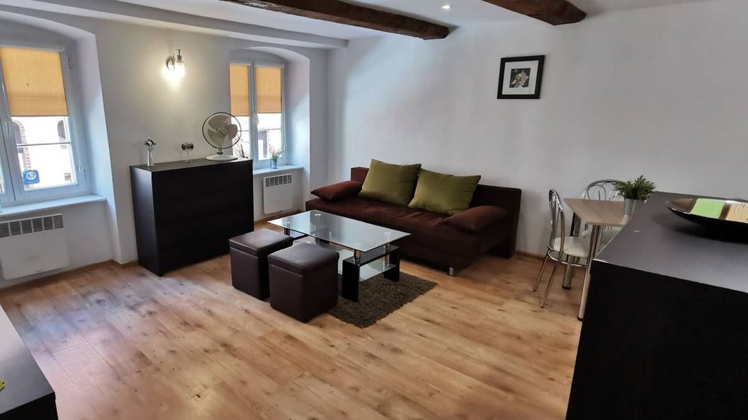 Apartament Pod Krzywą Wieżą Toruń (1)