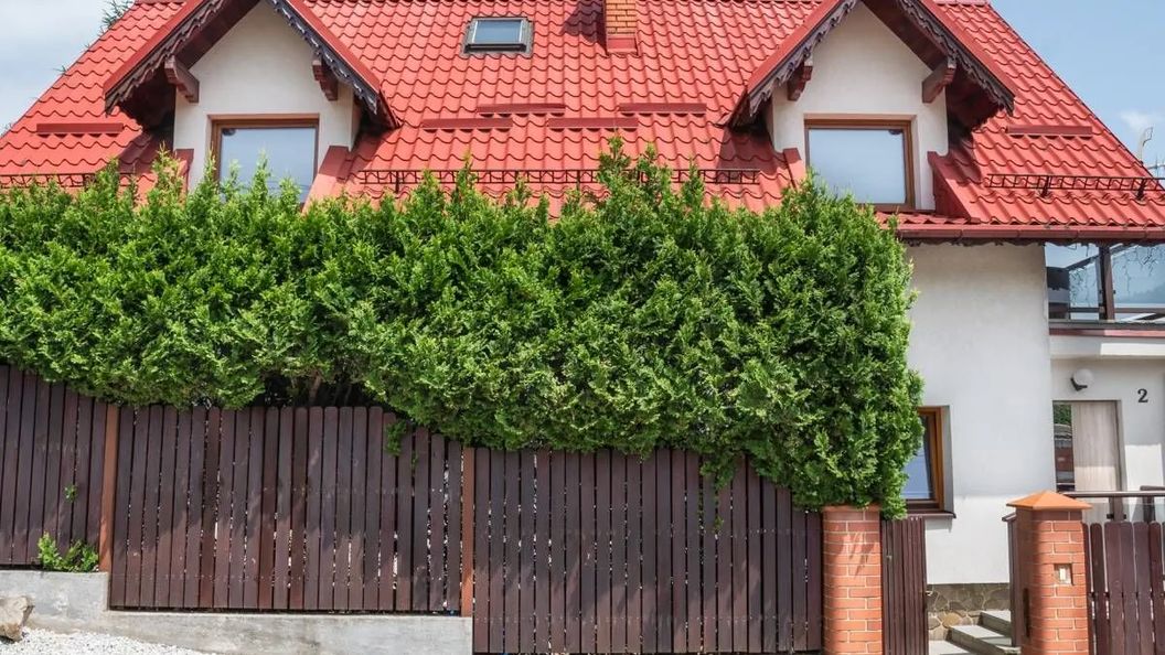 Gór-Ski Skalite Szczyrk (1)