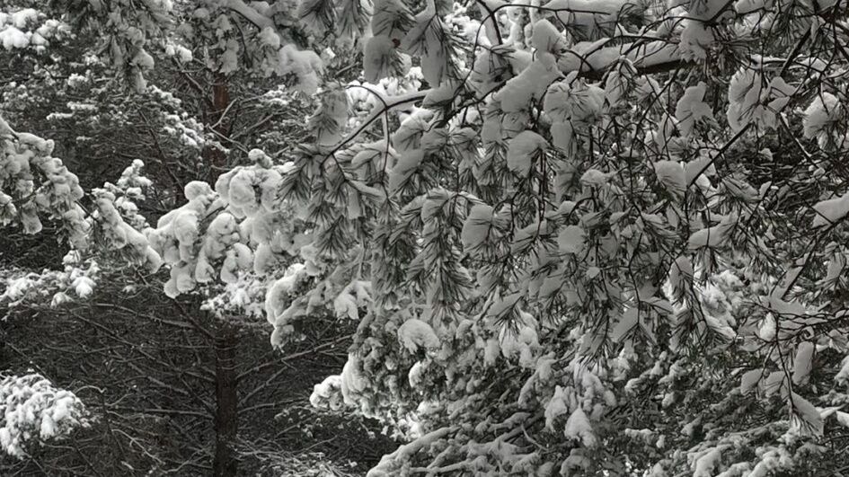 U Progu Lasu - Szteklin (1)