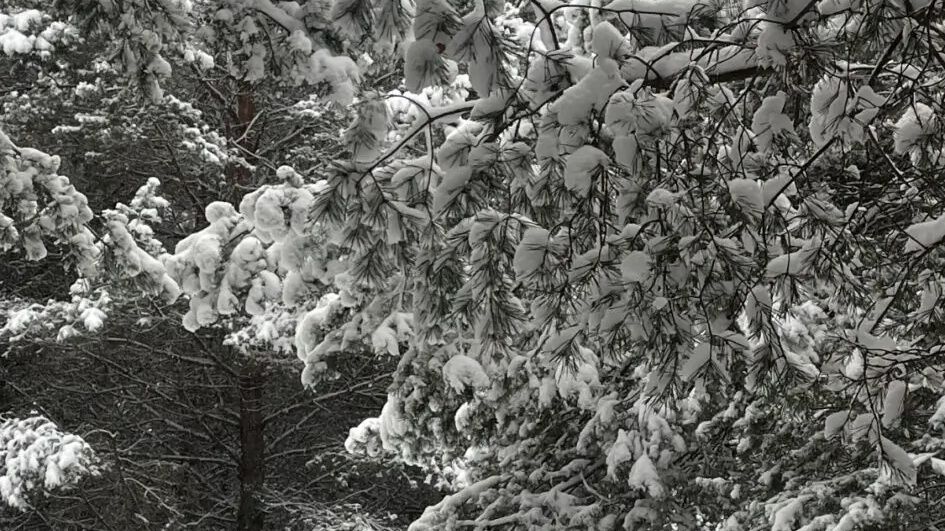 U Progu Lasu - Szteklin (1)