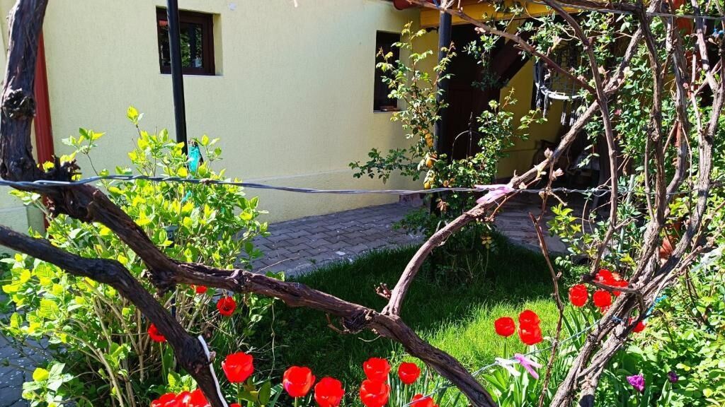 Casa Bunicilor Cisnădie (1)