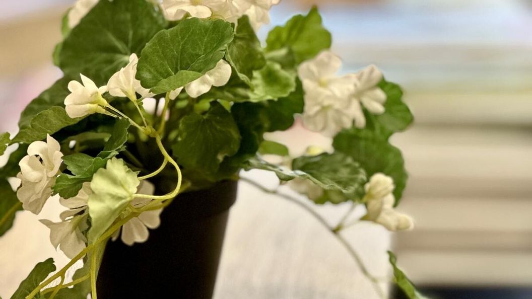 Hostel Żurawia Warszawa (1)