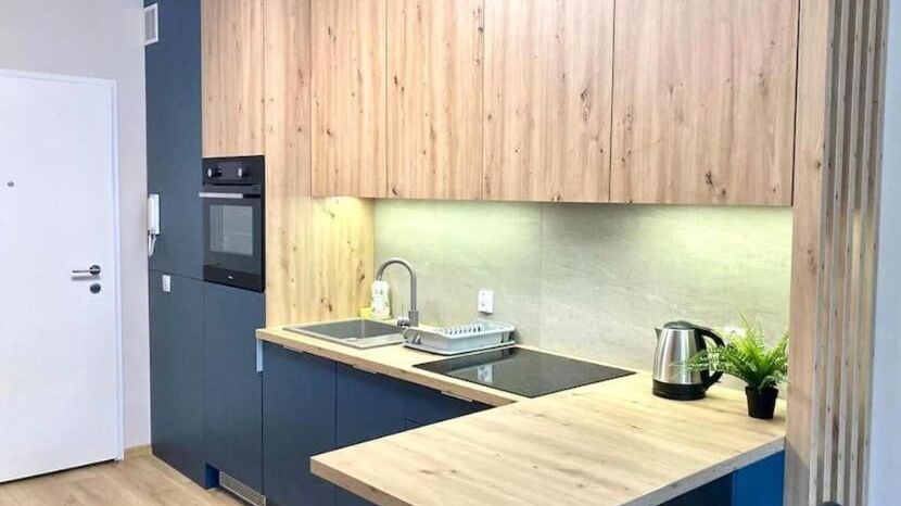 Platon Residence Apartments (1)