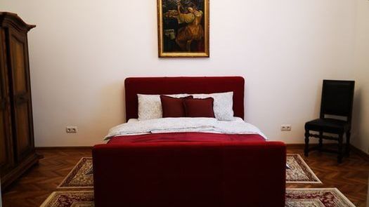 Weisz Castle style Apartment Carei (1)