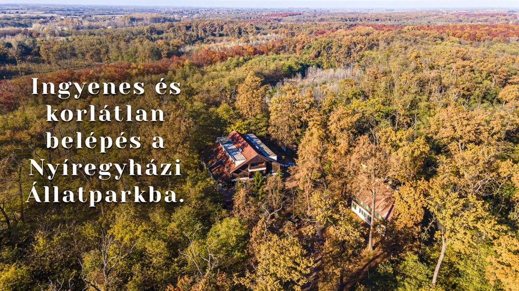 Ózoon Hotel Nyíregyháza (1)