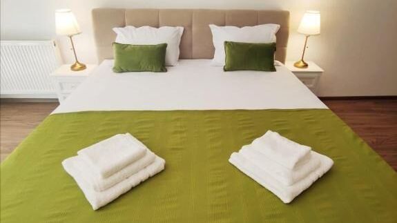 Apartament Green Studio Predeal (1)