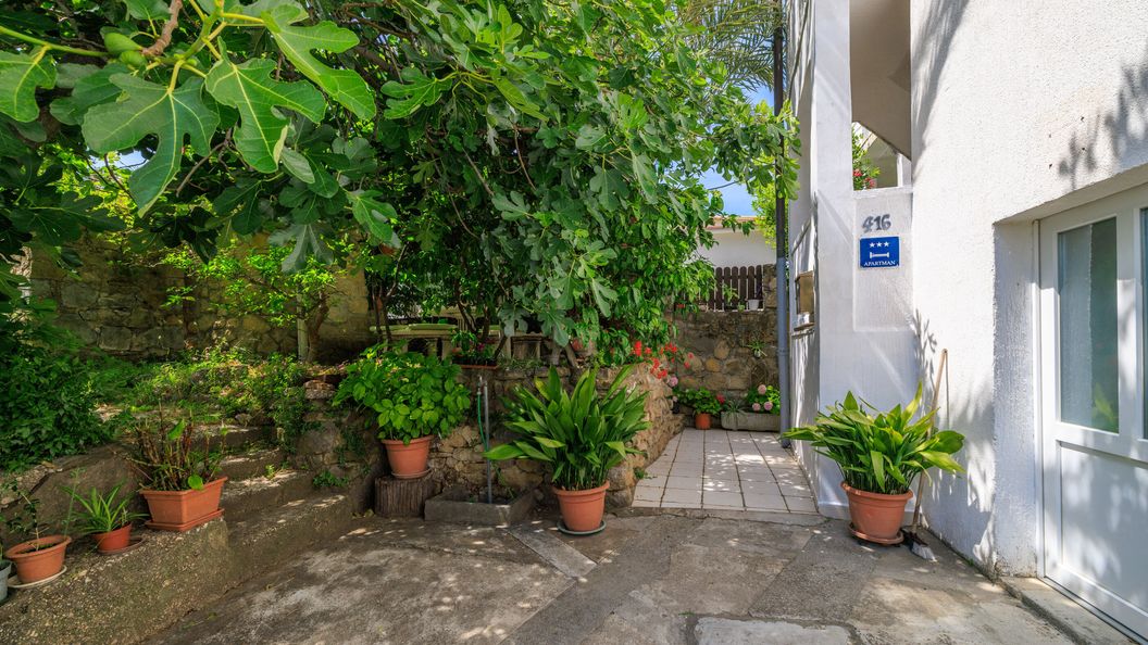 Apartments Jug Lopar (1)