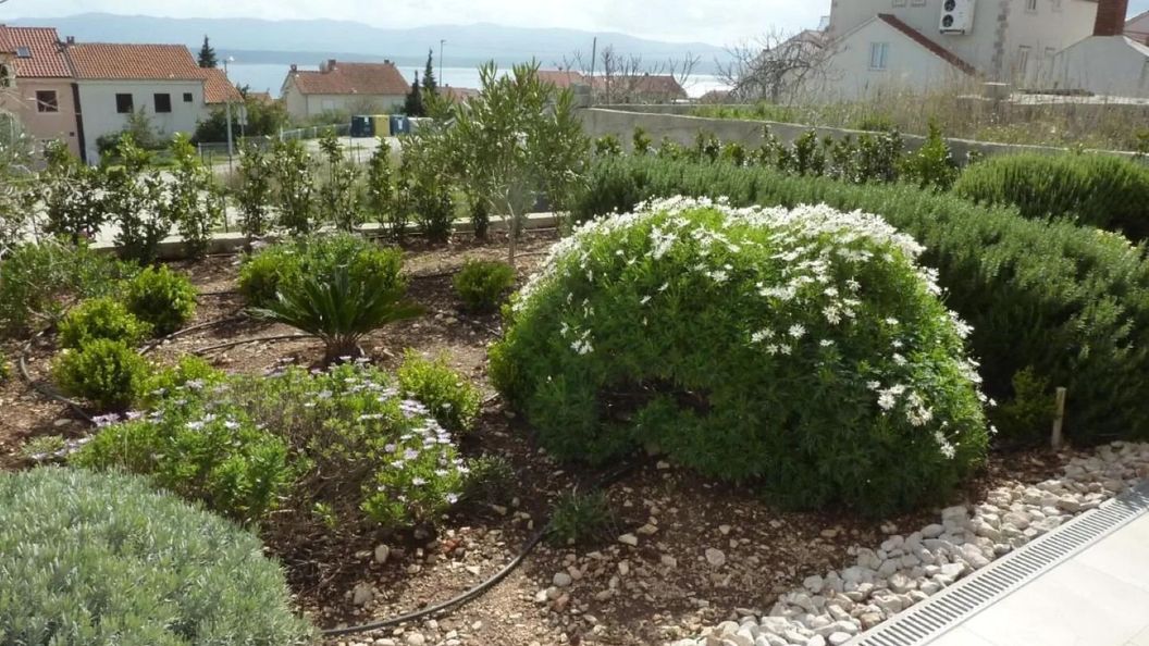 Apartments Ivy Bol (1)