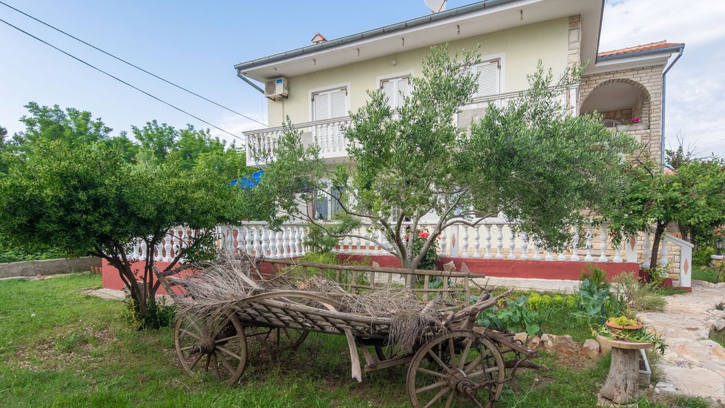 Apartment Basic Mario Vir II (1)