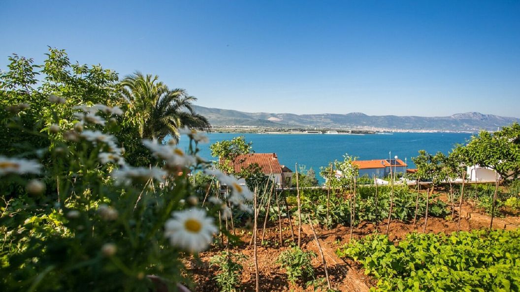 Apartment Marija Trogir (1)