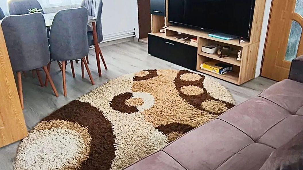 Casa Bianchi Vatra Dornei (1)