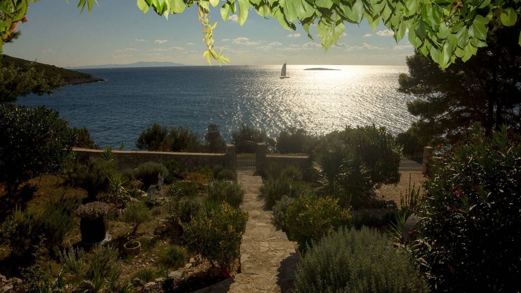 House Ana Maslinica (1)