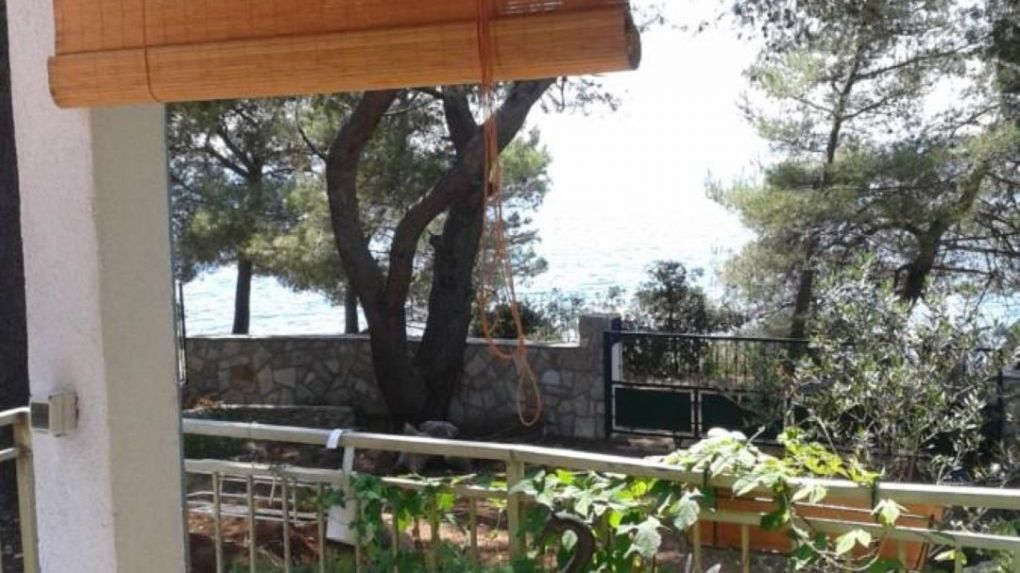 House More Maslinica II (1)