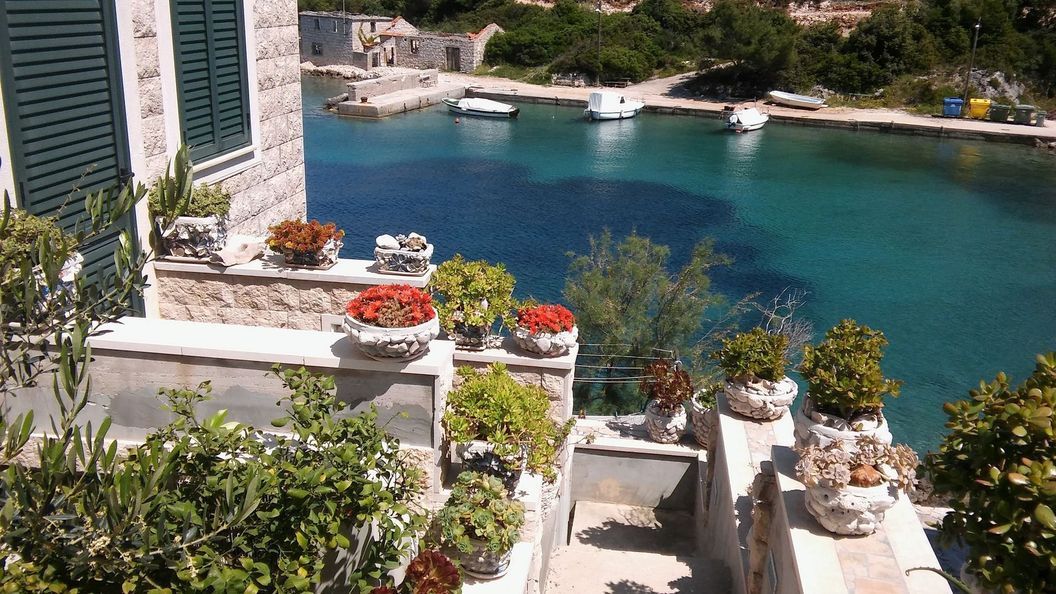 Apartment Nikola Donja Krušica (1)