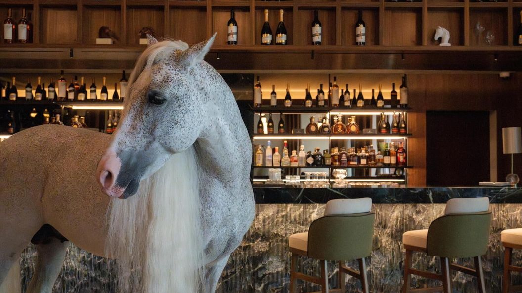 Hotel ISSA Resort Turda (1)