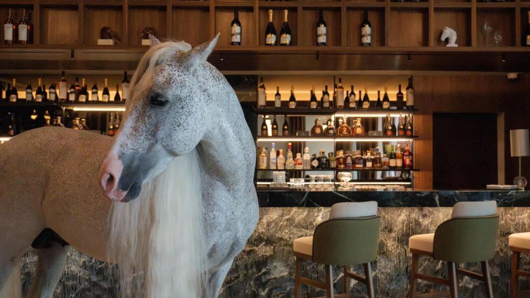 Hotel ISSA Resort Turda (1)