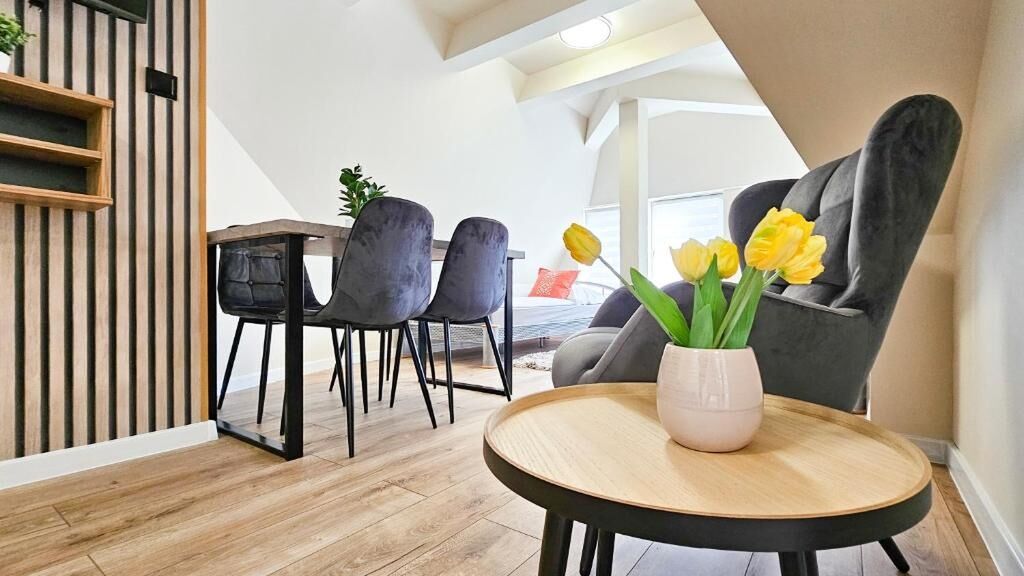 visit baltic - Promenada Studio Wydma ZE34 (1)