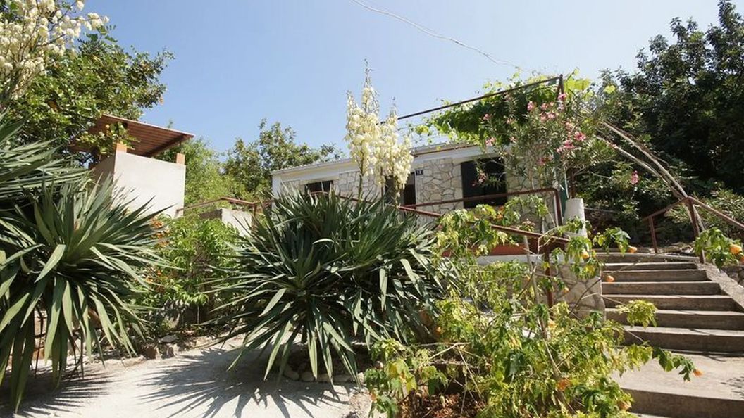 House Paulo1 Vis (1)