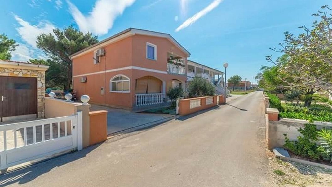 House Seagull Vir (1)