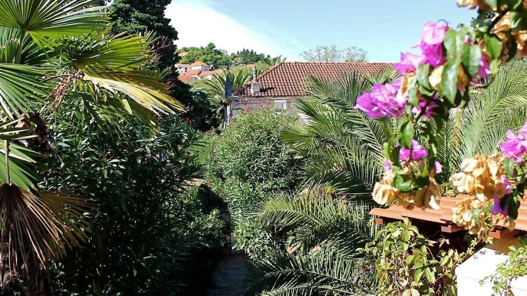 House Davor Sutivan (1)