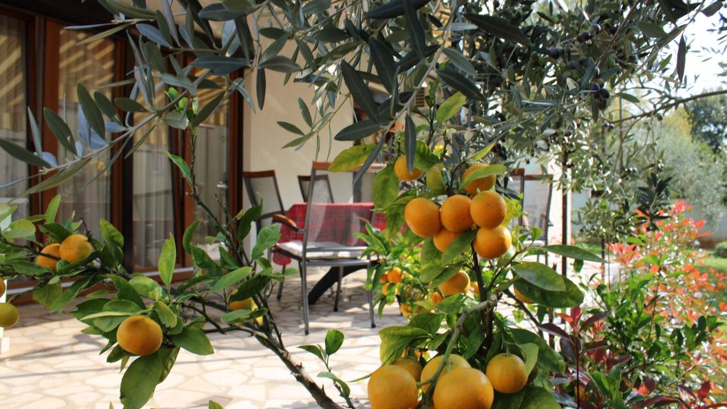 Apartman Paganor Pula (1)