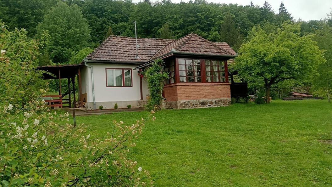 Szakadáti Vendégház-Casa din Săcădat Sovata (1)