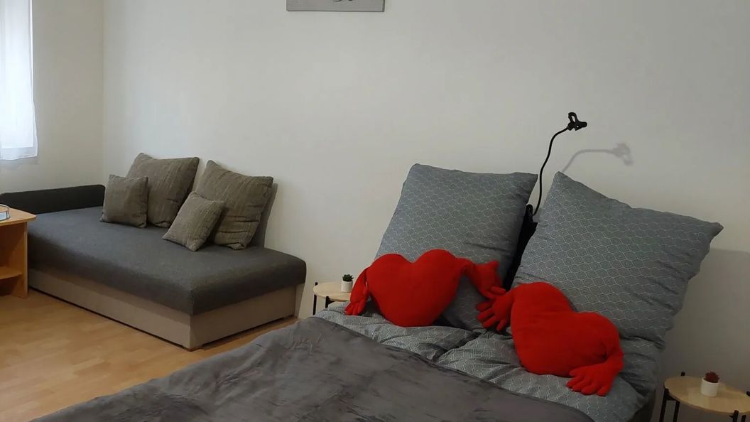 Ánizs Apartmanház Makó (1)