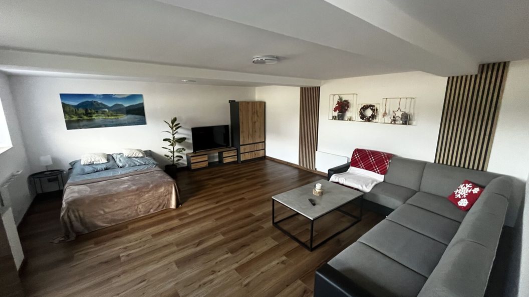 Apartament Pieniny (1)