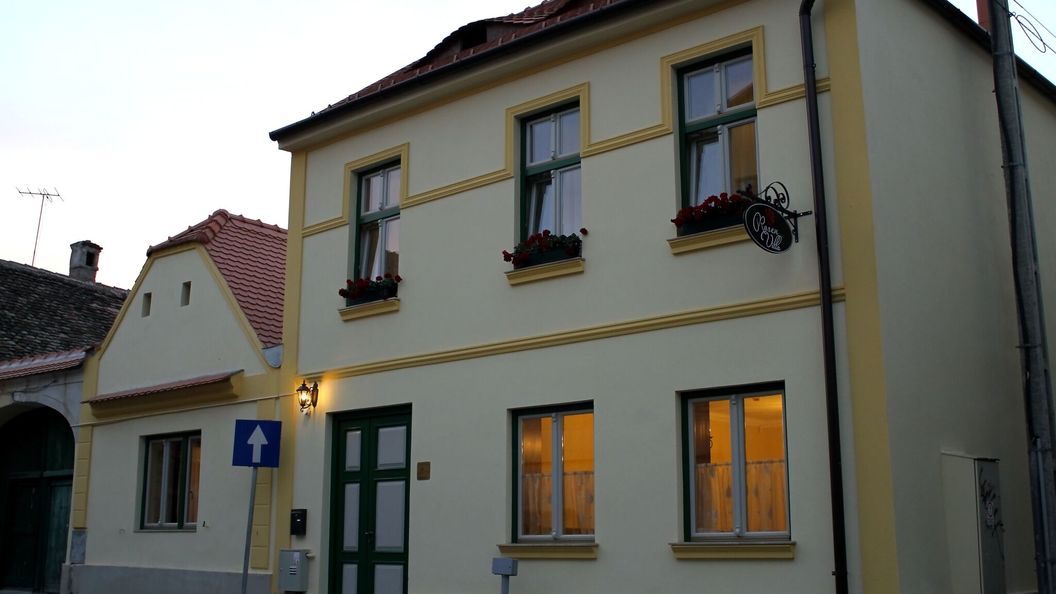 Rosen Villa Sibiu (1)