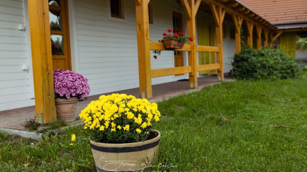 Margaréta I. Panzió Szigetbecse (1)