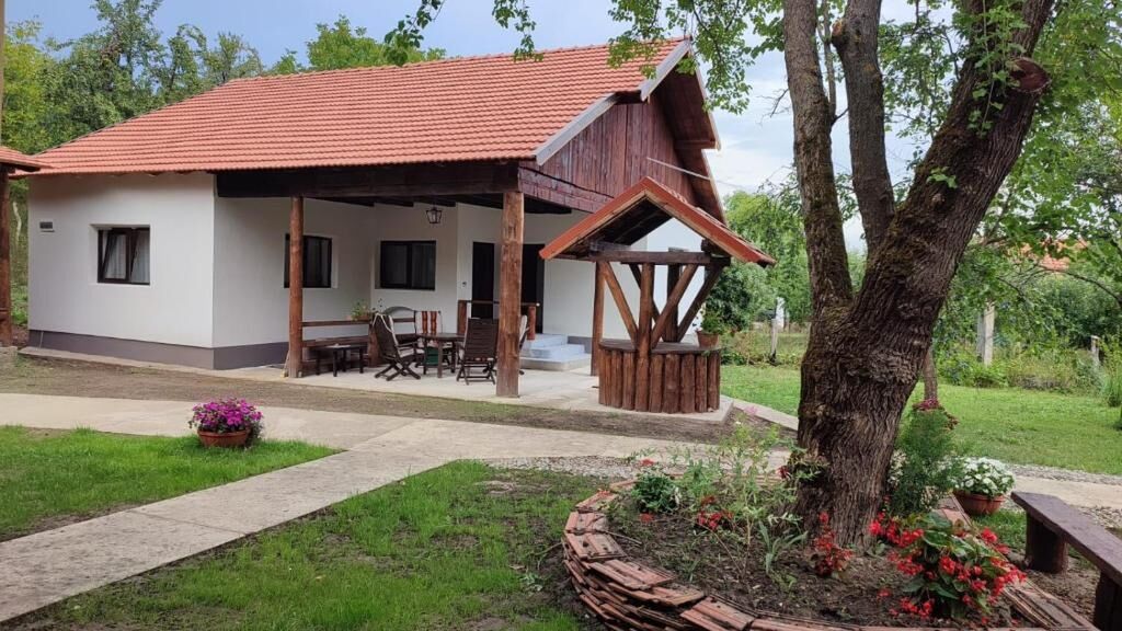 Pensiunea Dumbrava Minunată Peșteana (1)