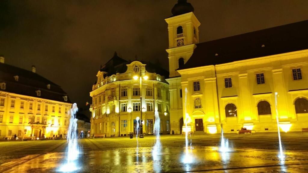 Apartament Plopilor Studios Sibiu (1)