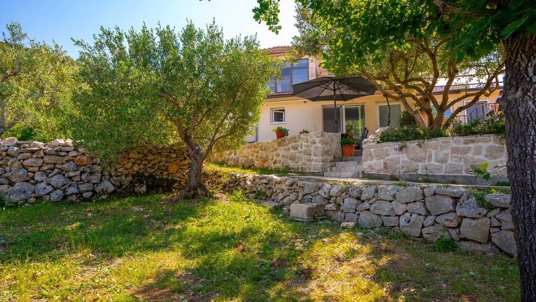 Apartment Maslina Kneža (1)