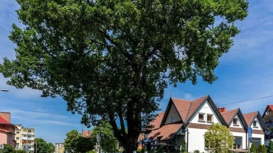 Złota Regalinda & Spa Międzyzdroje (1)