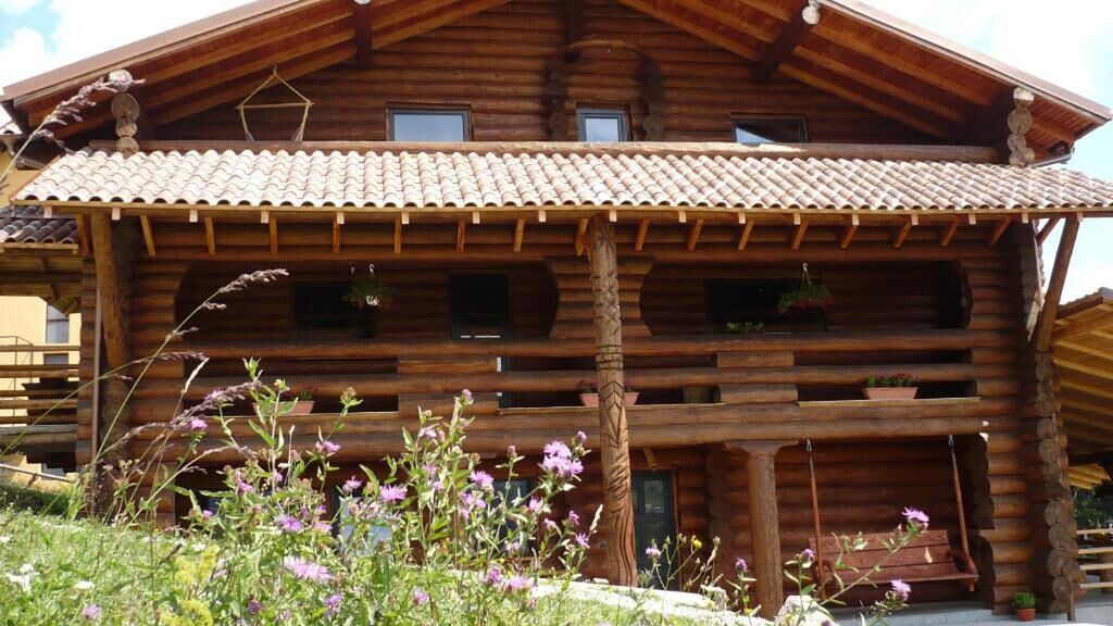 Cabana Vultur Vatra Dornei (1)