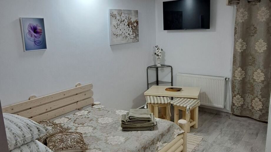 Alina's Apartament Sinaia (1)