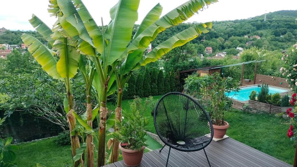 Apartament Belvedere Deva (1)