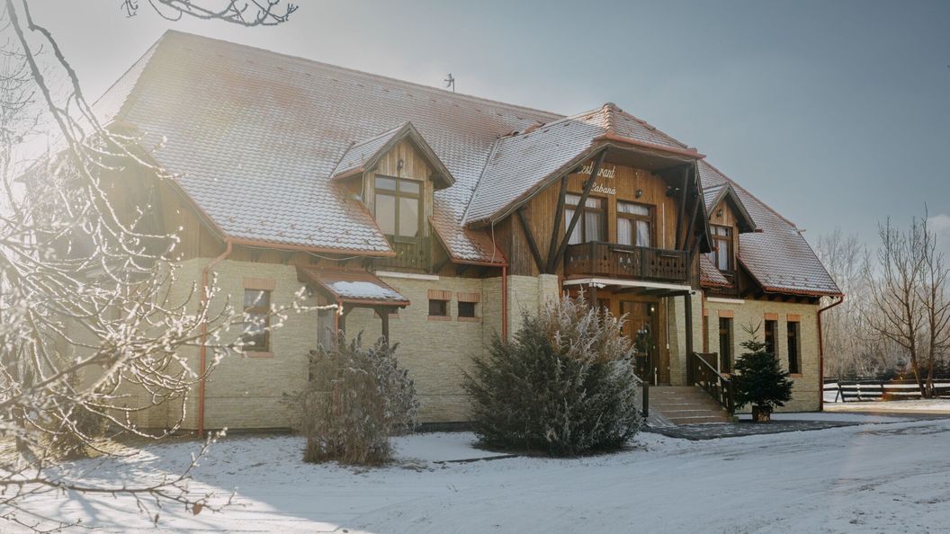 Pensiunea Csató Borzont (1)