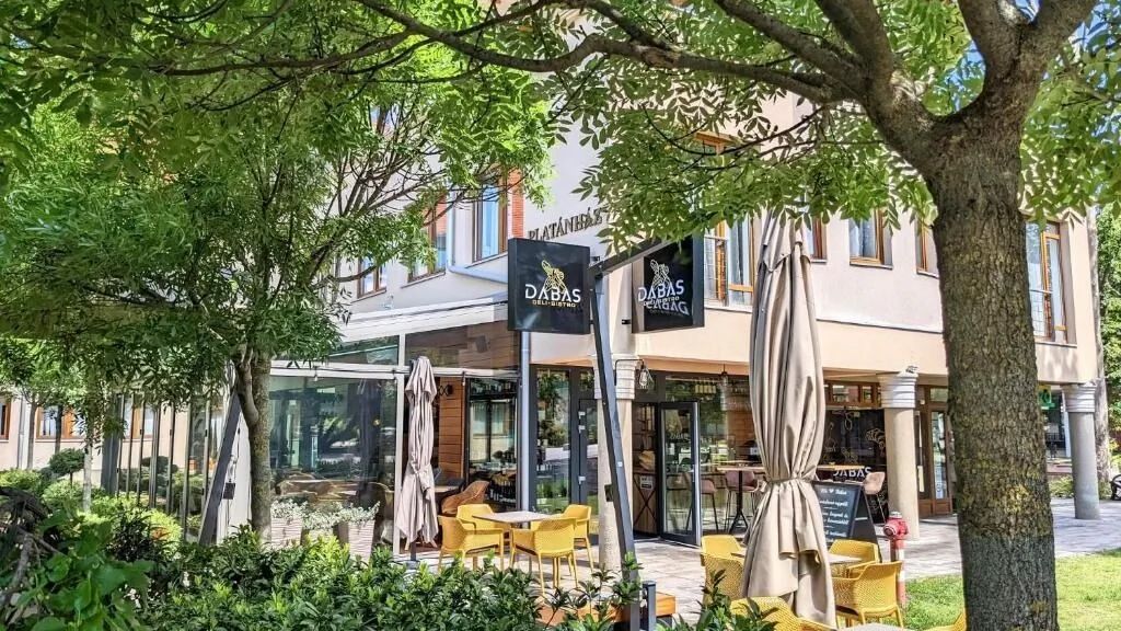 City Apartmans Dabas (1)