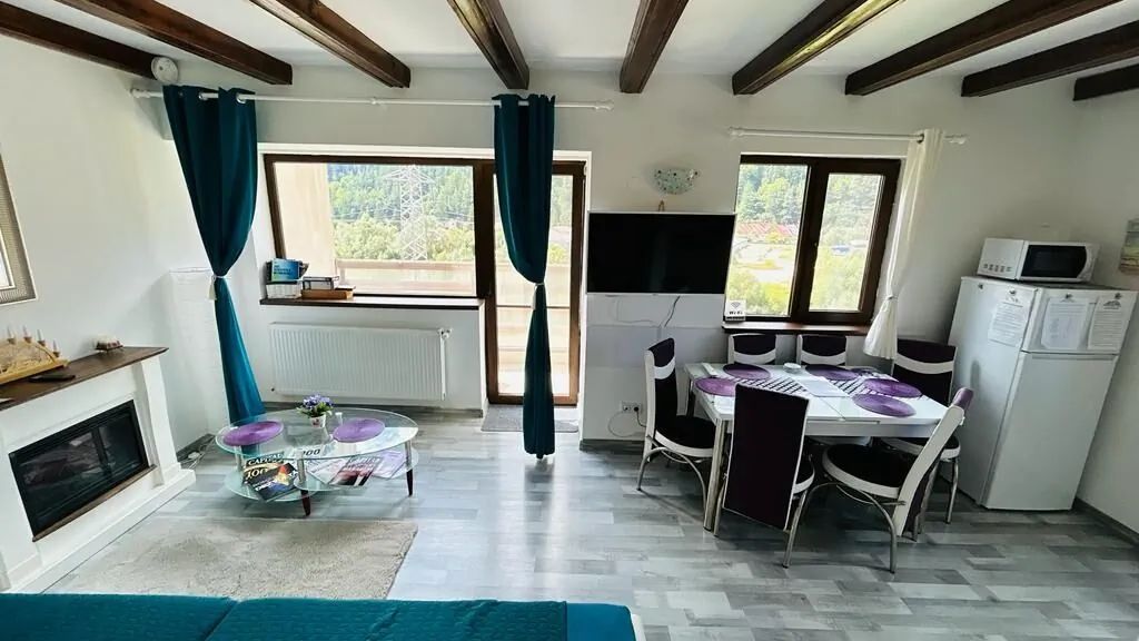 Panoramic View Apartment Buşteni (1)