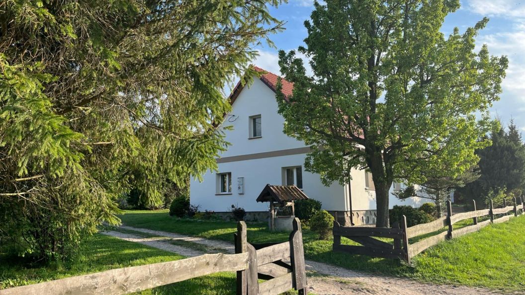 Między lasem a jeziorem Czarnówka (1)