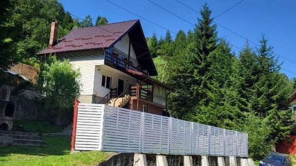 Diana's Holiday Home Sătic (1)