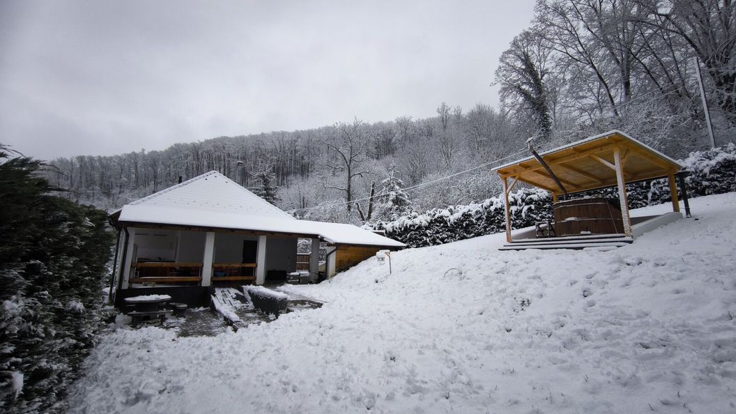 Forest Residence Miskolc (1)