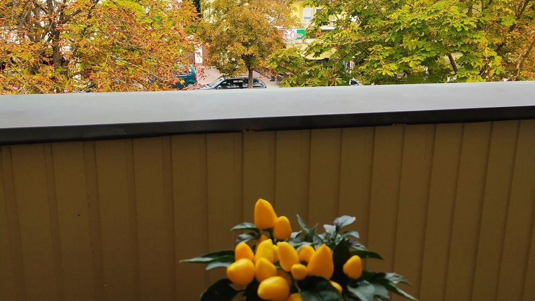 Chili Apartman Harkány (1)