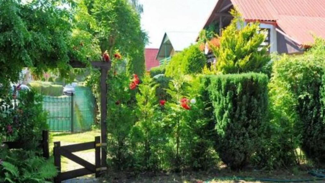 Dom letniskowy Bajka Rowy (1)